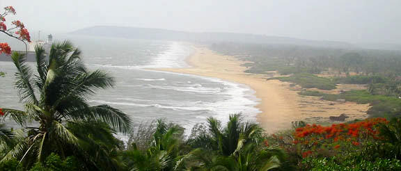 Goa Green