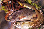 Goa Sea Food