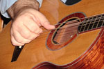 Artist and Musicians