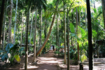 Spice Farms In Goa