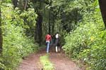 Other Activities in Goa