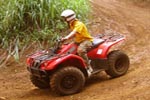 All Terrain Vehicle