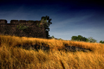 Forts of Goa
