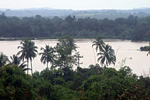 Arambol Dam