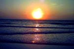 Beach Haven