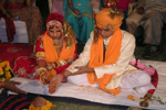 The Gujaratis Wedding