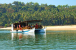 Dolphin Fantasy Cruise Goa