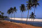Mandrem Beach