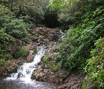 Whistling Woods Resort Amboli 
