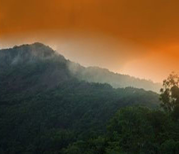 Swapnagandha Wildernest Nature Resort Goa
