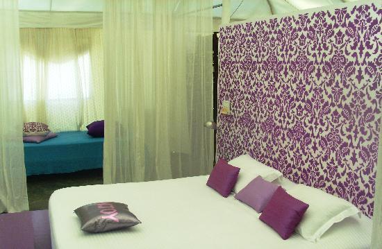 Amarya Shamiyana, Goa
