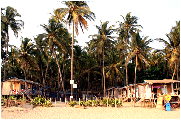 Cuba  Palolem South Goa