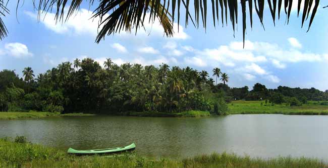 Olaulim Backyards North Goa