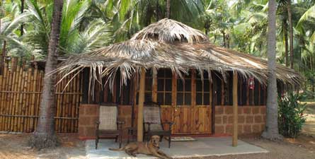Olaulim Backyards North Goa