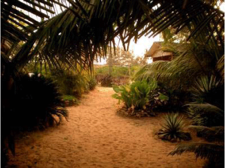 Artescape Benaulim Goa