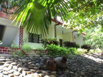 Astoria Hotel