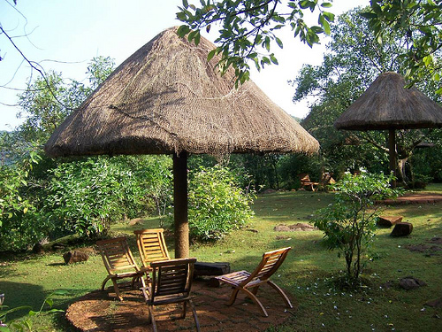 Wildernest Goa