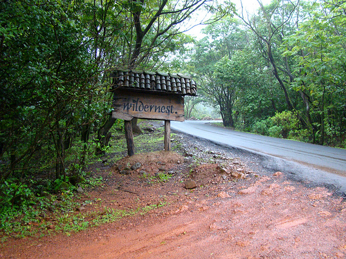 Wildernest Goa