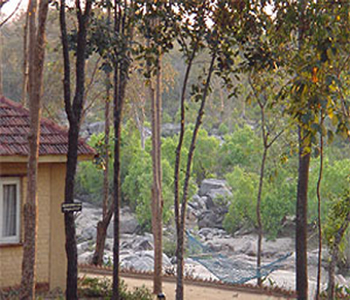 Bison River Resort Dandeli