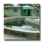 The Ayurvedic Village