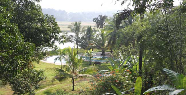 Olaulim Backyards North Goa
