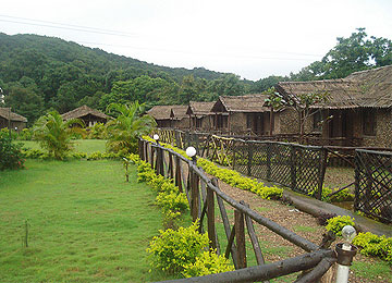shangrila jungle village resort, best nature resorts in goa.