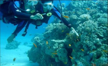 Scuba Diving Goa