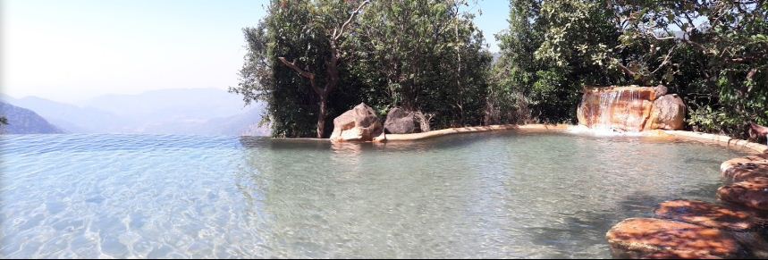 Off Beat Stay in Goa: Wildernest