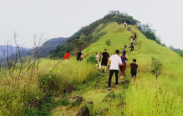 Spice Plantation Tours in Goa